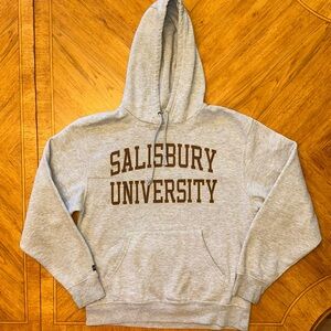 Jansport Salisbury University Hoodie Med Graphic Sea Gulls Sweatshirt Pullover